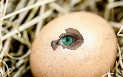 La vida va de otra cosa